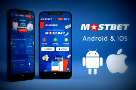 Mostbet Gambling Establishment Pakistan Testimonial 2026: Slots, Live Gambling Establishment, Pilot and Online Video Gaming Guide